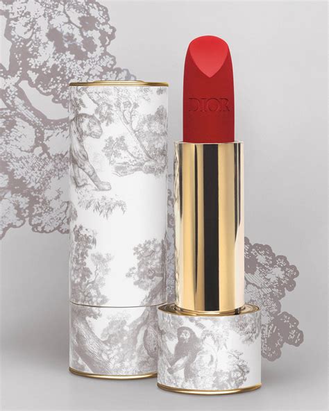 dior spegel|Dior rouge premier.